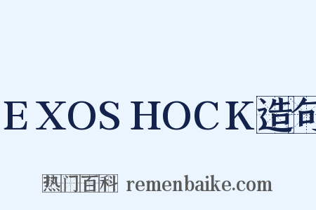 EXOSHOCK造句是什么意思的图片